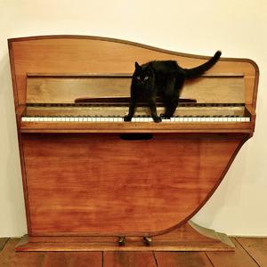 性做爰过程免费观看下载
