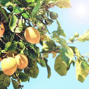 性做爰过程免费观看下载
